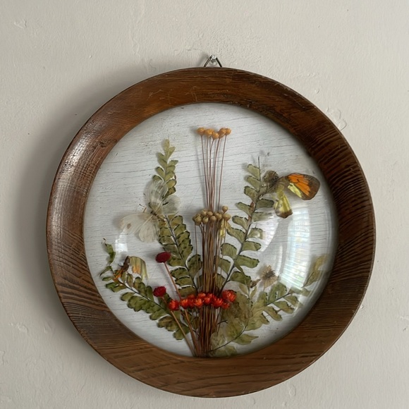 •| dried floral art - Picture 2 of 15